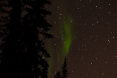 IMG4195-1-2